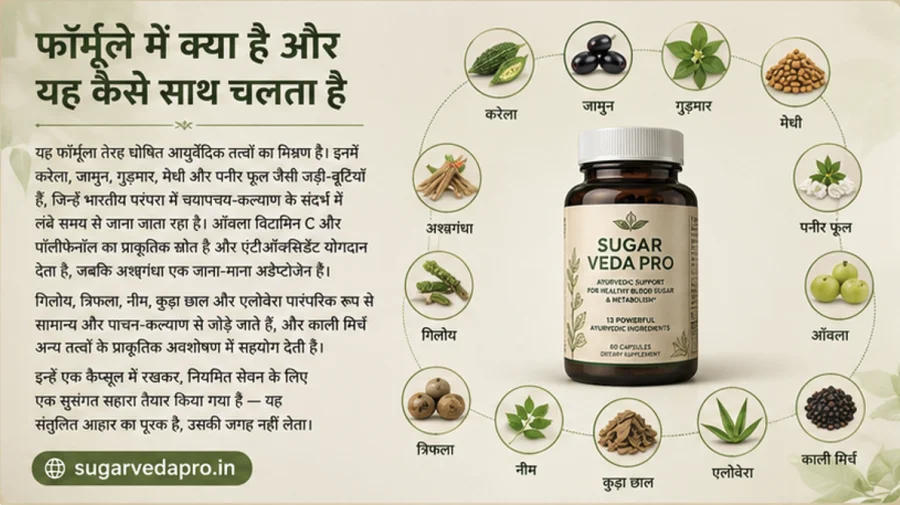 Sugar Veda Pro — करेला, जामुन, गुड़मार और मेथी वाले आयुर्वेदिक कैप्सूल