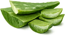 Sugar Veda Pro — एलोवेरा (Aloe vera)